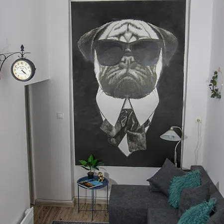 Mops Bob Lägenhet Budapest