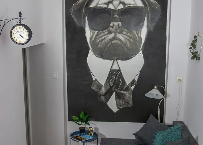 Mops Bob Lägenhet Budapest